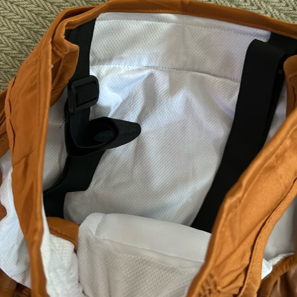 Washable Female Dog Diaper Suspender Reusable Heat Cycle Period incontinence XL - Picture 3 of 8